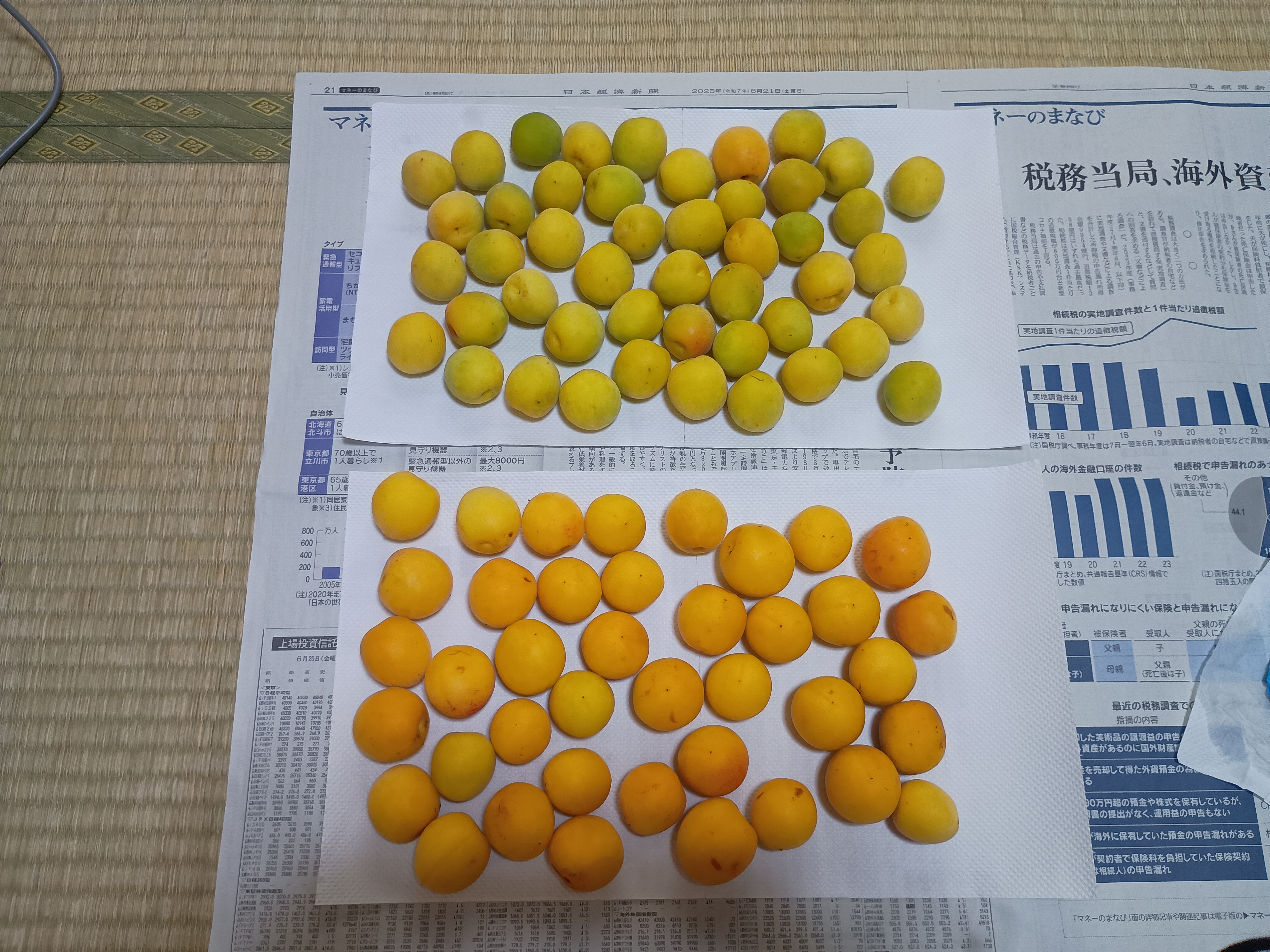 ステップ3