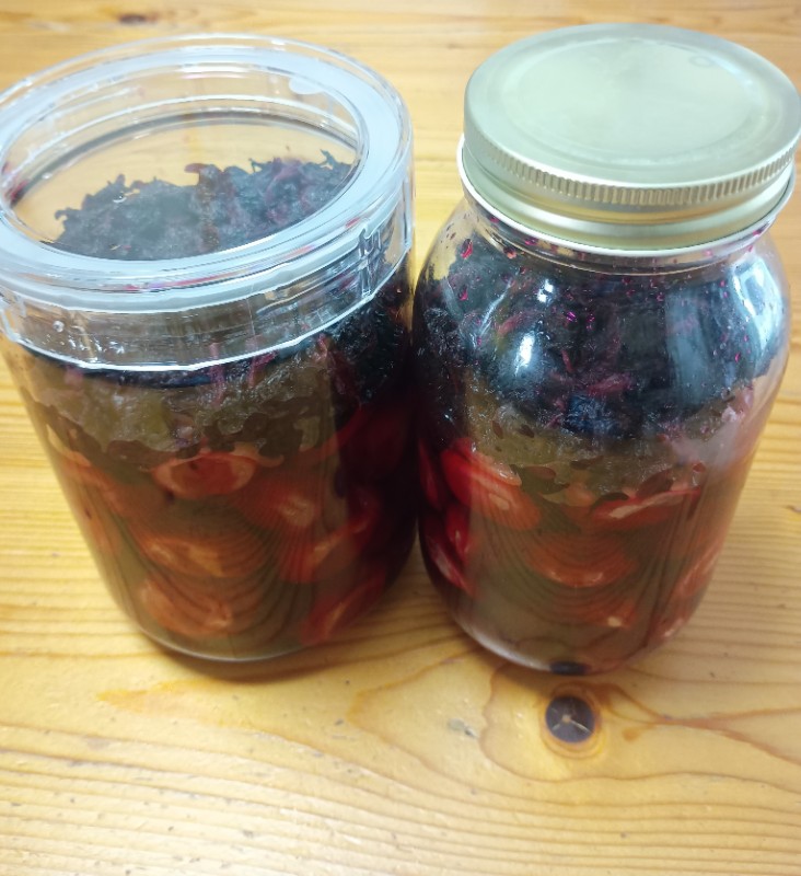 ステップ15